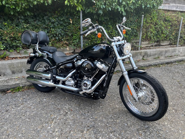 HARLEY-DAVIDSON FXST 1745 Softail Standard 107 Custom Occasion
