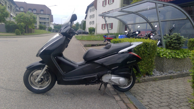 HONDA FES 125 Pantheon Roller Occasion