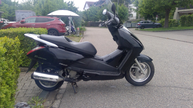 HONDA FES 125 Pantheon Roller Occasion