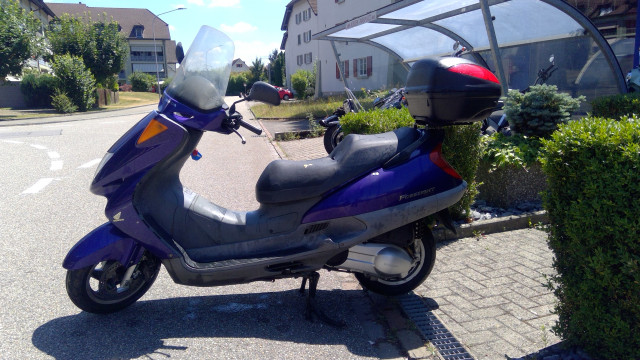 HONDA FES 250 Forsight Roller Occasion