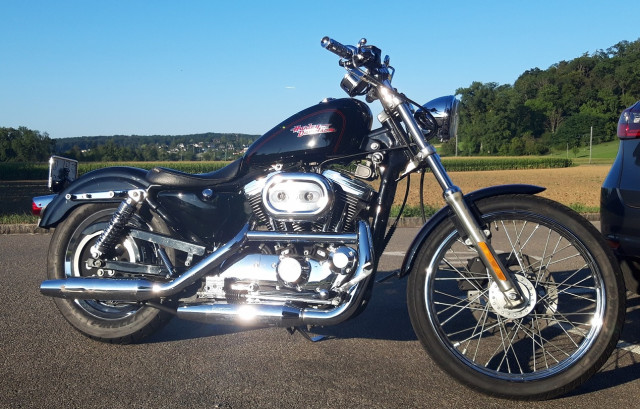 HARLEY-DAVIDSON XL 1200 C Sportster Custom Custom Occasion