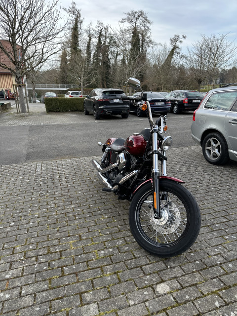 HARLEY-DAVIDSON FXDB 1690 Dyna Street Bob Custom Occasion