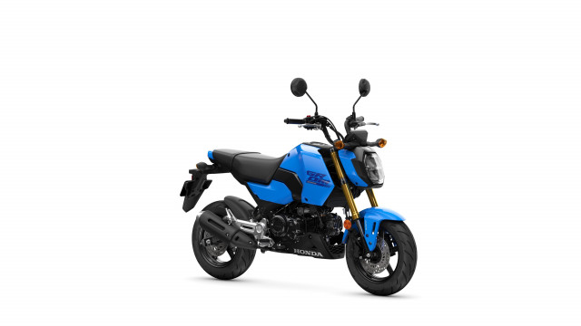 HONDA MSX 125 Grom Naked Moto neuve