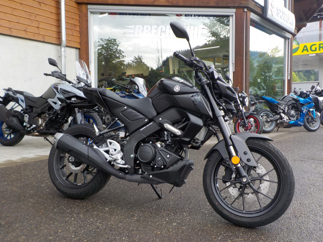 YAMAHA MT-125 Naked Usato