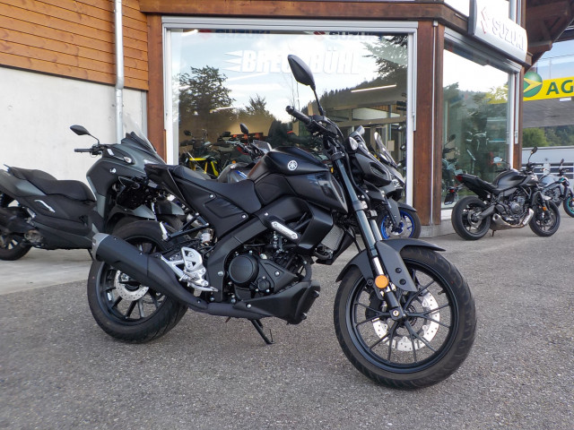 YAMAHA MT-125 Naked Occasion