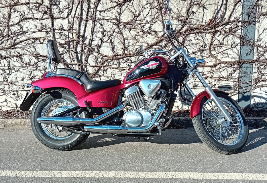 HONDA VT 600 C Shadow Custom Occasion