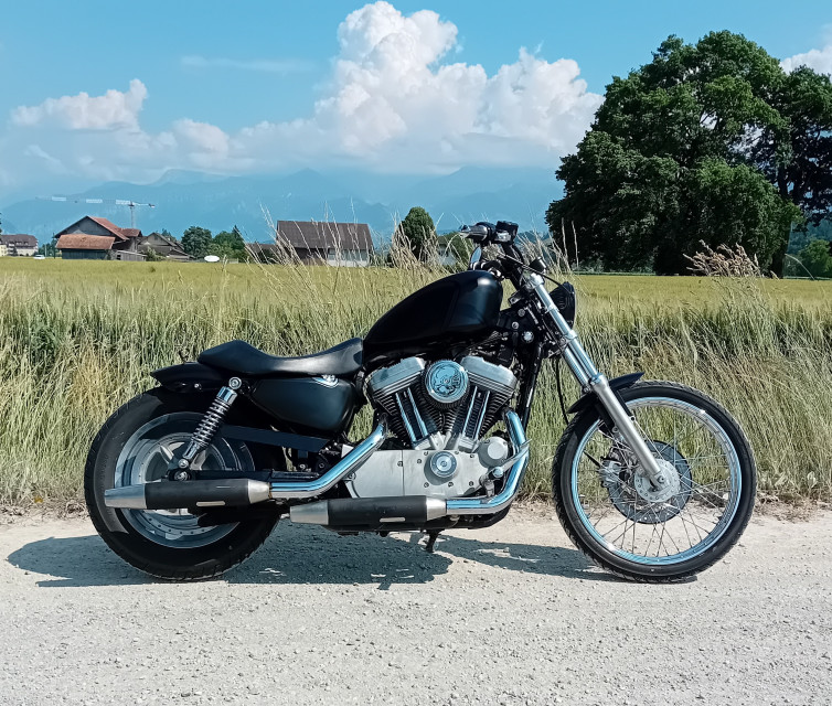 HARLEY-DAVIDSON XL 883 53C Sportster Custom Occasion