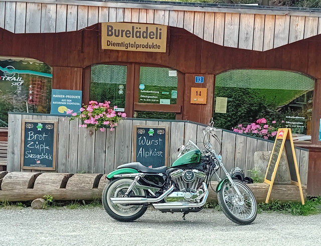 HARLEY-DAVIDSON XL 1200 V Sportster Seventy Two Custom Occasion