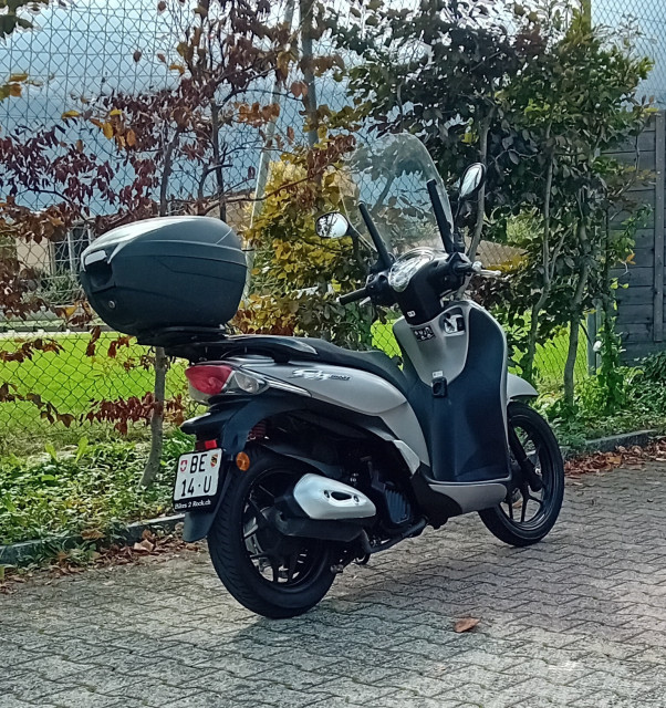 HONDA ANC 125 Roller Occasion