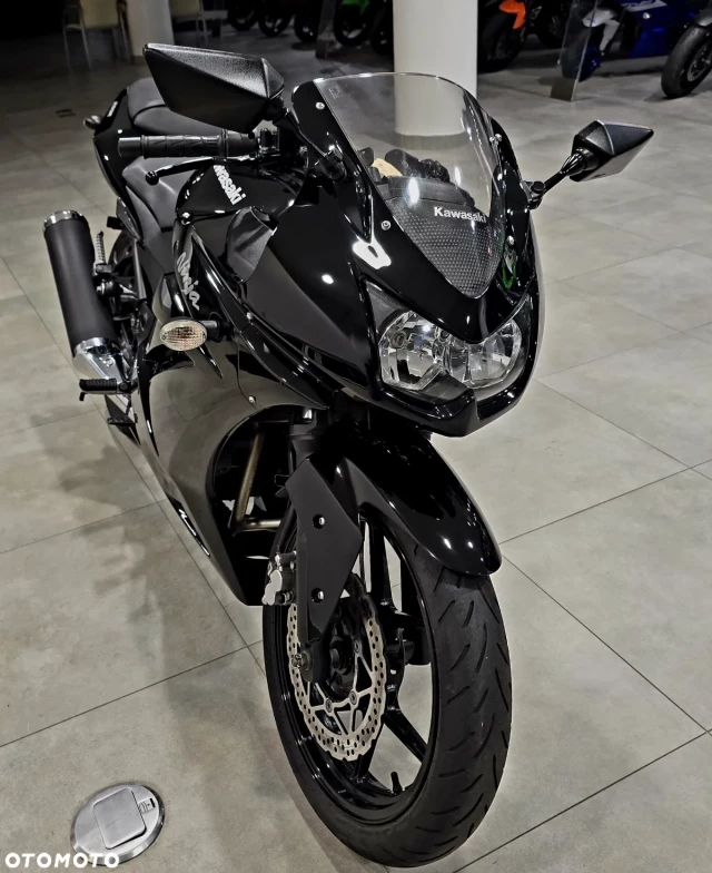 KAWASAKI Kawasaki Ninja 250 R Andere Occasion