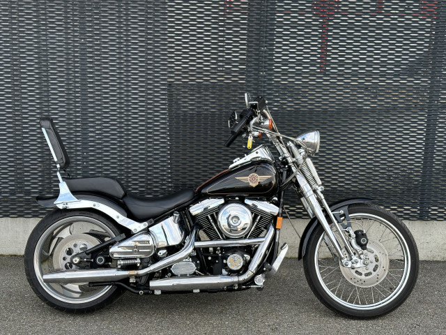 2010 deals softail custom