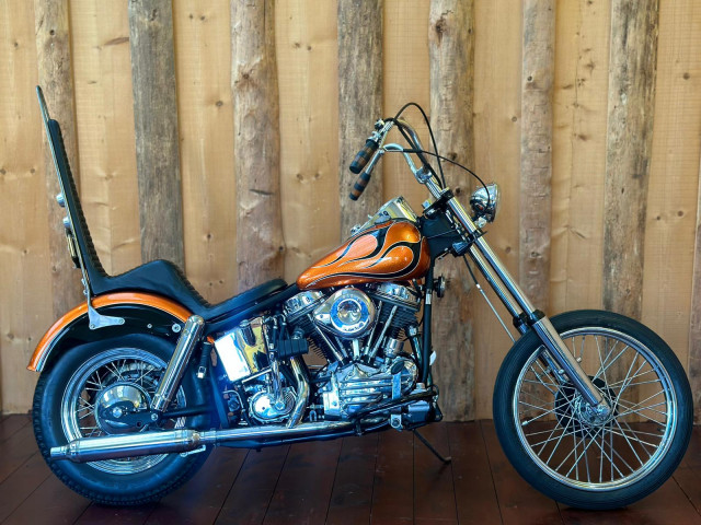 HARLEY-DAVIDSON Panhead Andere Occasion