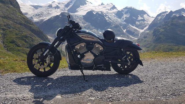 HARLEY-DAVIDSON Custom Custom Occasion