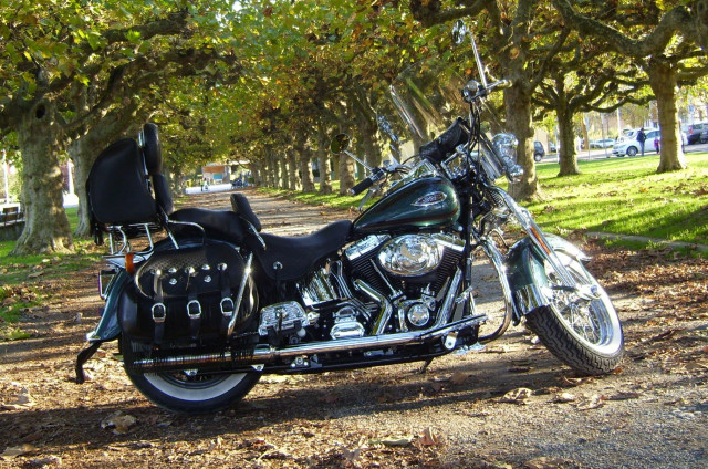 HARLEY-DAVIDSON FXSTS 1450 Softail Springer Custom Occasion