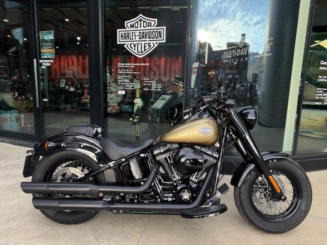 HARLEY-DAVIDSON FLSS 1801 Softail Slim S 110 Custom Used