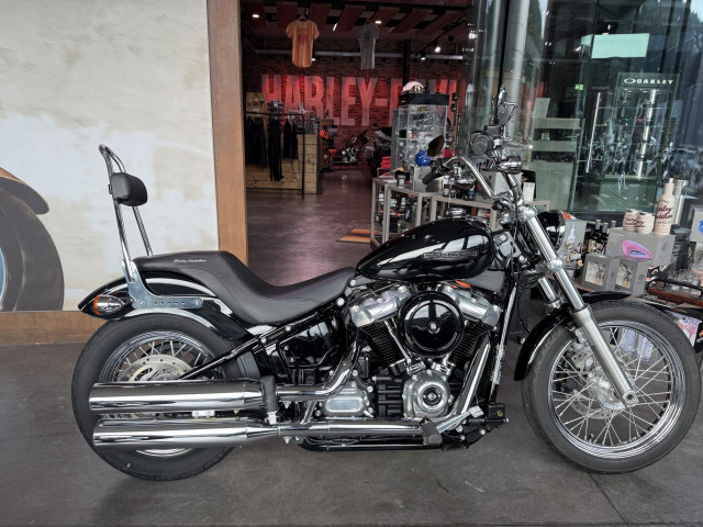 HARLEY-DAVIDSON FXST 1745 Softail Standard 107 Custom Occasion