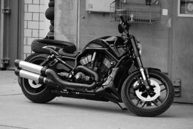 HARLEY-DAVIDSON VRSCDX 1250 V-Rod Night Rod Special Custom Occasion