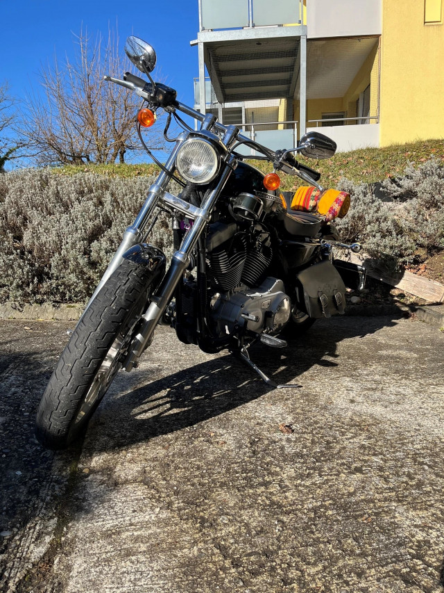 HARLEY-DAVIDSON XL 1200 R Sportster Roadster Custom Occasion