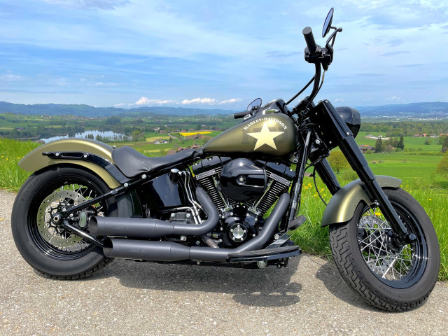 HARLEY-DAVIDSON FLSS 1801 Softail Slim S 110 Custom Usato