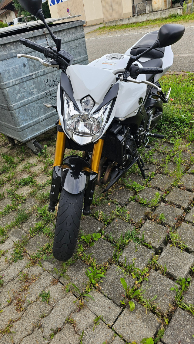 YAMAHA FZ 8 N Naked Occasion