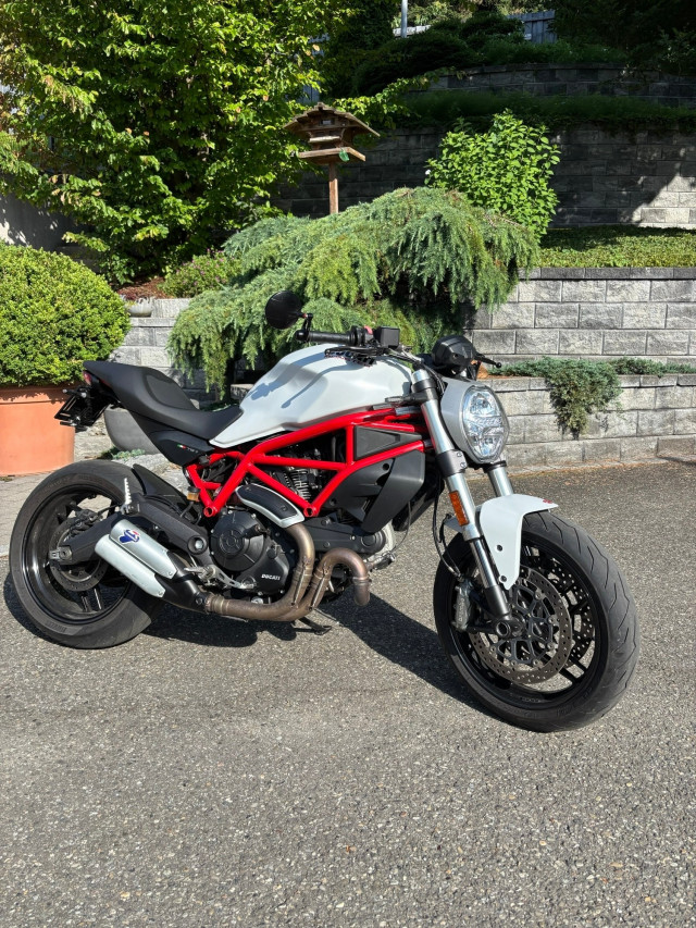 DUCATI Monster 797 Naked Occasion
