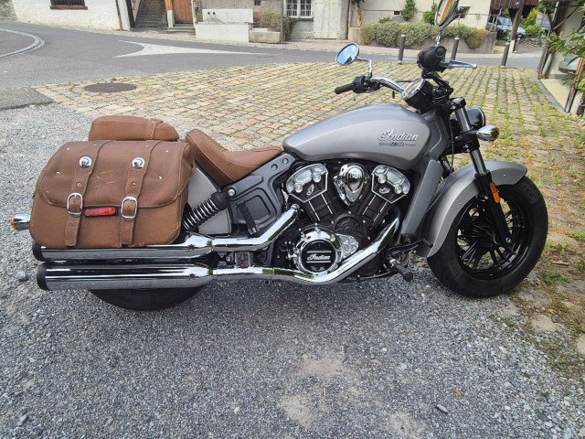 INDIAN Scout Custom Occasion