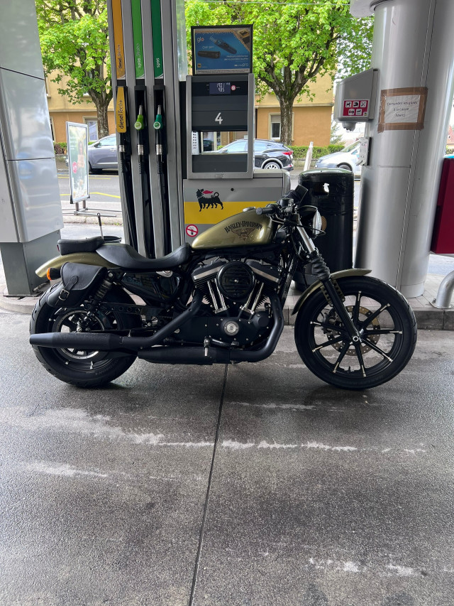 HARLEY-DAVIDSON XL 883 N Sportster Iron Custom Occasion
