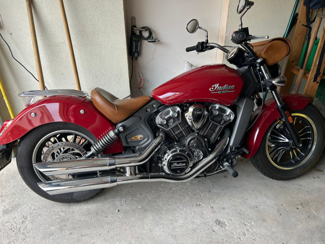 INDIAN Scout Custom Occasion