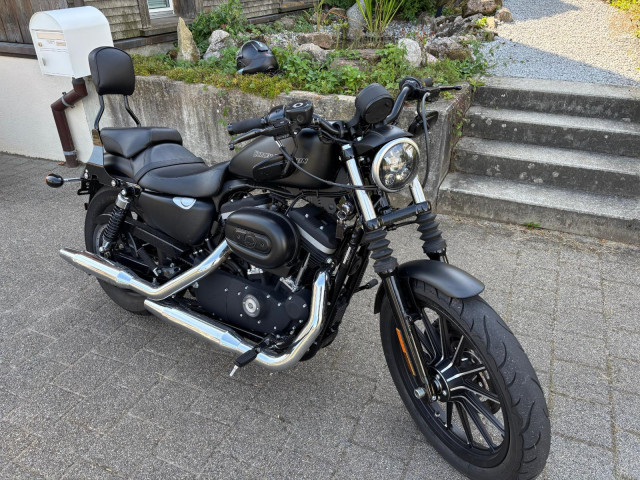 HARLEY-DAVIDSON XL 883 N Sportster Iron Custom Occasion