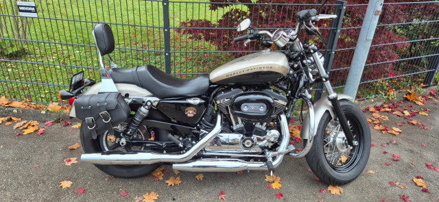 HARLEY-DAVIDSON XL 1200 C Sportster Custom Custom Occasion