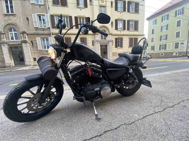 HARLEY-DAVIDSON XL 883 N Sportster Iron Custom Occasion