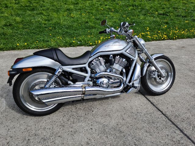 HARLEY-DAVIDSON VRSCA 1130 V-Rod Custom Occasion