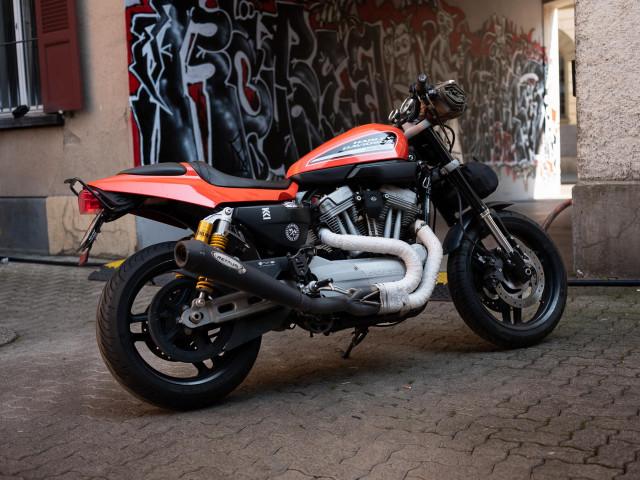 HARLEY-DAVIDSON XR 1200 Sportster Custom Occasion