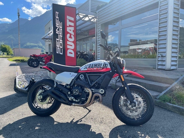 DUCATI Scrambler 803 Urban Motard Retro Tageseinlösung