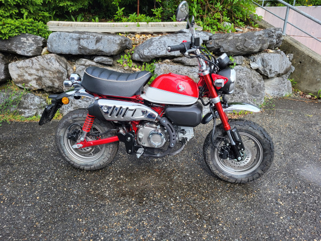 HONDA Z 125 MA Monkey Naked Occasion