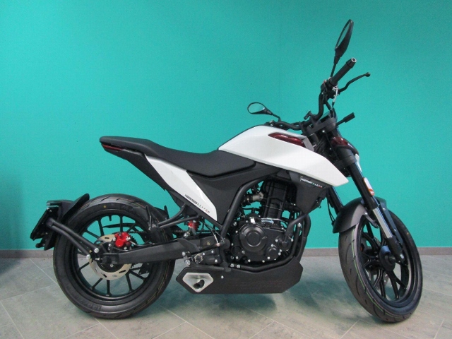 MALAGUTI Drakon 125 Naked Neufahrzeug