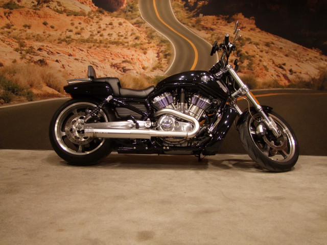HARLEY-DAVIDSON VRSCF Custom Used