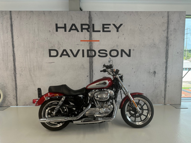 HARLEY-DAVIDSON XL 883 L Sportster Super Low Custom Occasion