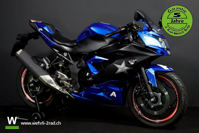KAWASAKI Ninja 125 Sport Occasion