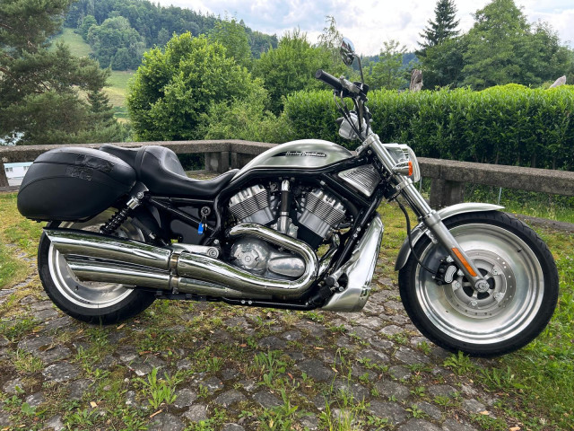 HARLEY-DAVIDSON VRSCB 1130 V-Rod Custom Used