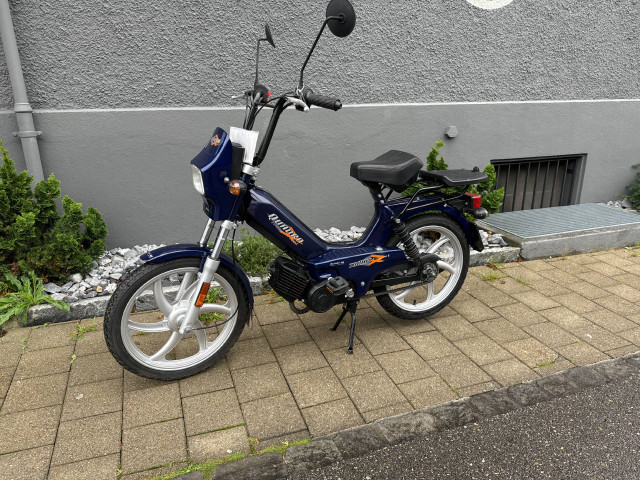 TOMOS Quadro Moped Used