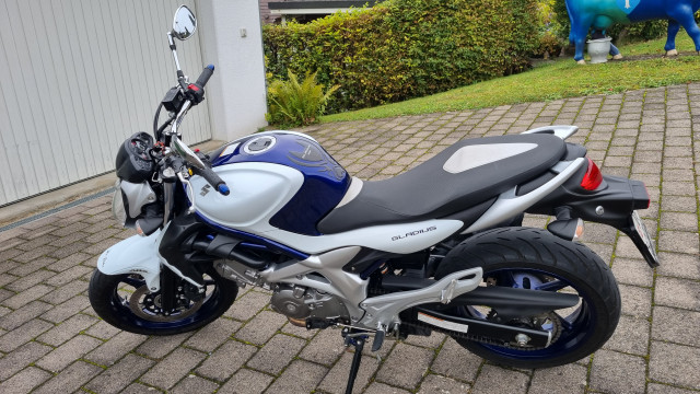 SUZUKI SFV 650 Gladius Naked Occasion