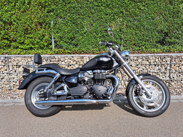 TRIUMPH Speedmaster 900 Custom Used