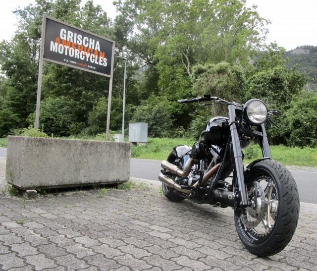 HARLEY-DAVIDSON FXST 1450 Softail Standard Custom Usato