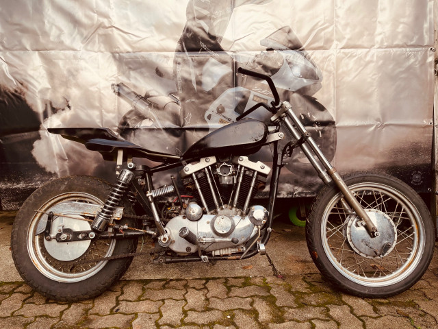 HARLEY-DAVIDSON XL  883 Ironhead Custom Occasion