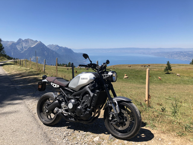 YAMAHA XSR 900 Retro Occasion