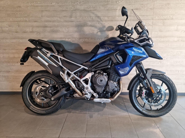 New triumph deals tiger