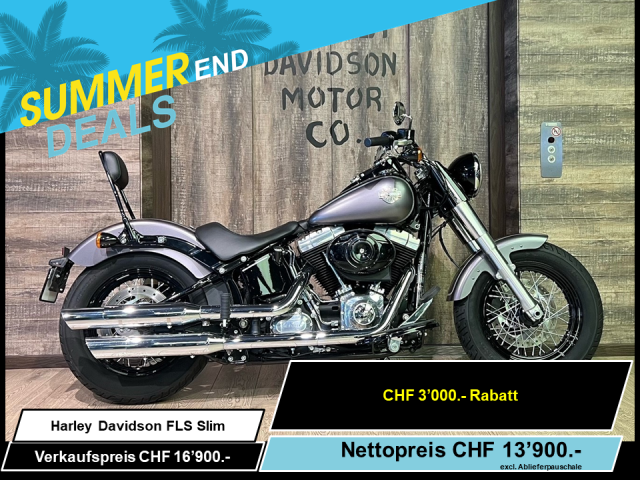 HARLEY-DAVIDSON FLS 1690 Softail Slim Custom Usato