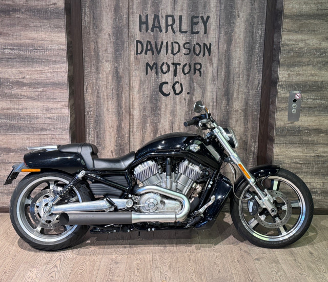 HARLEY-DAVIDSON VRSCF 1250 V-Rod Muscle Custom Usato