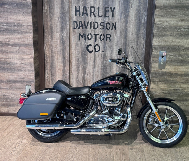 HARLEY-DAVIDSON XL 1200 T Sportster Super Low Custom Occasion